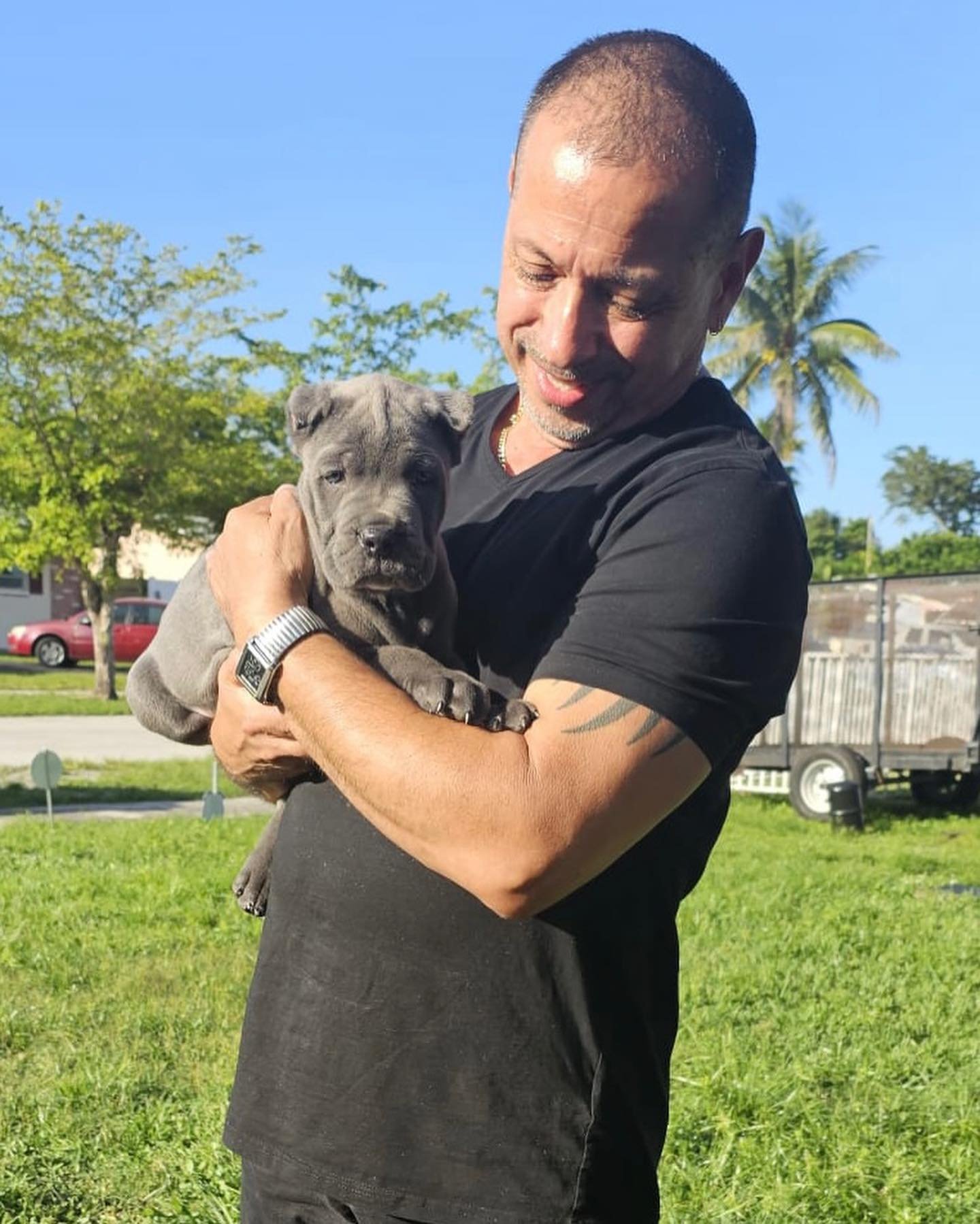 Happy Cane Corso family