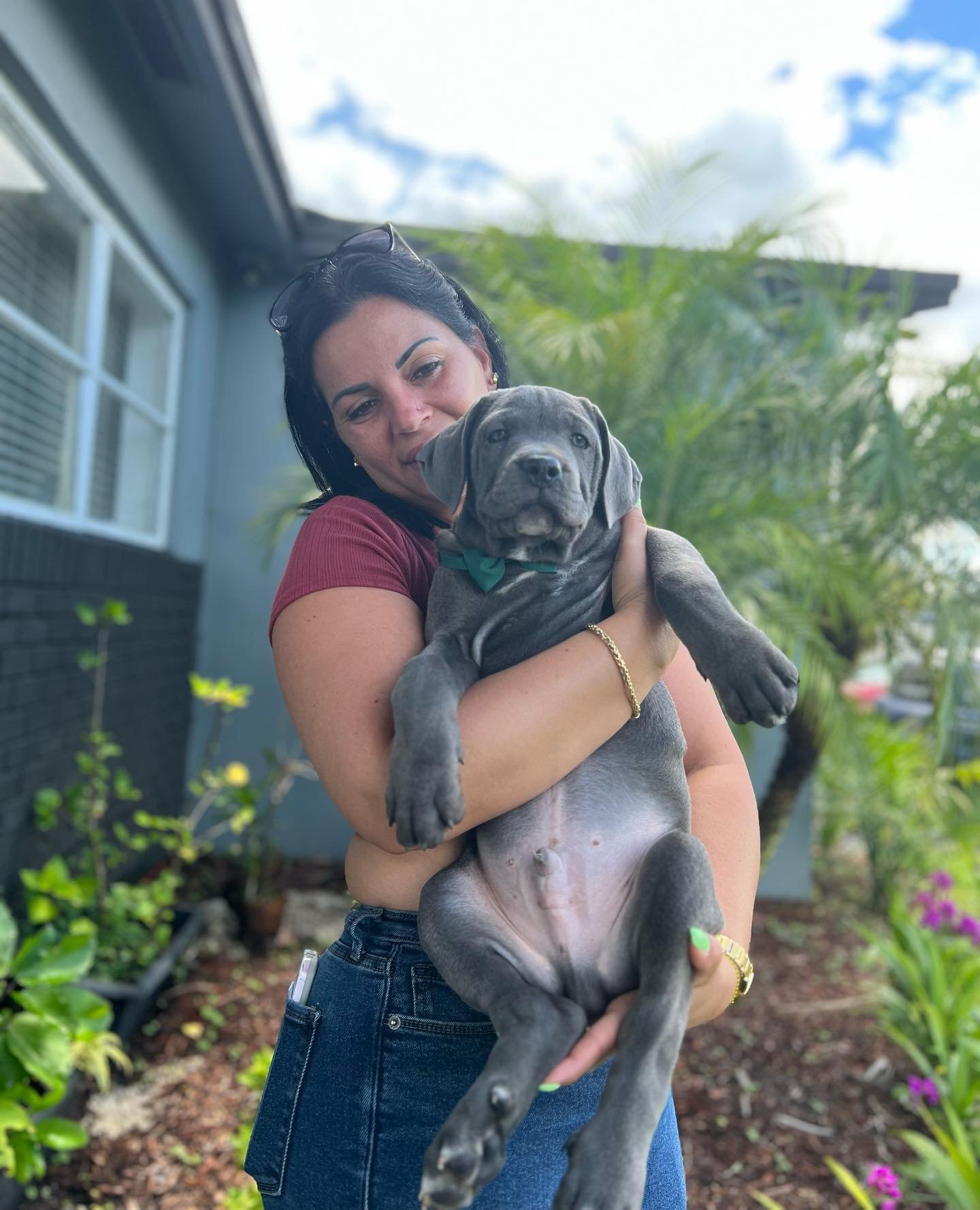 Happy Cane Corso family