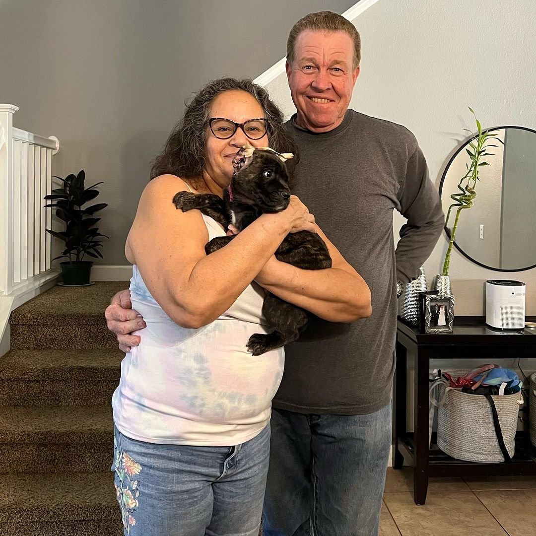 Happy Cane Corso family