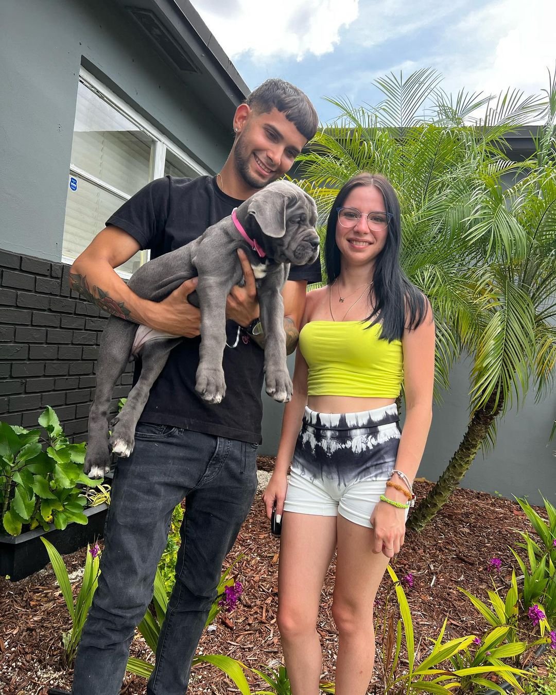 Happy Cane Corso family