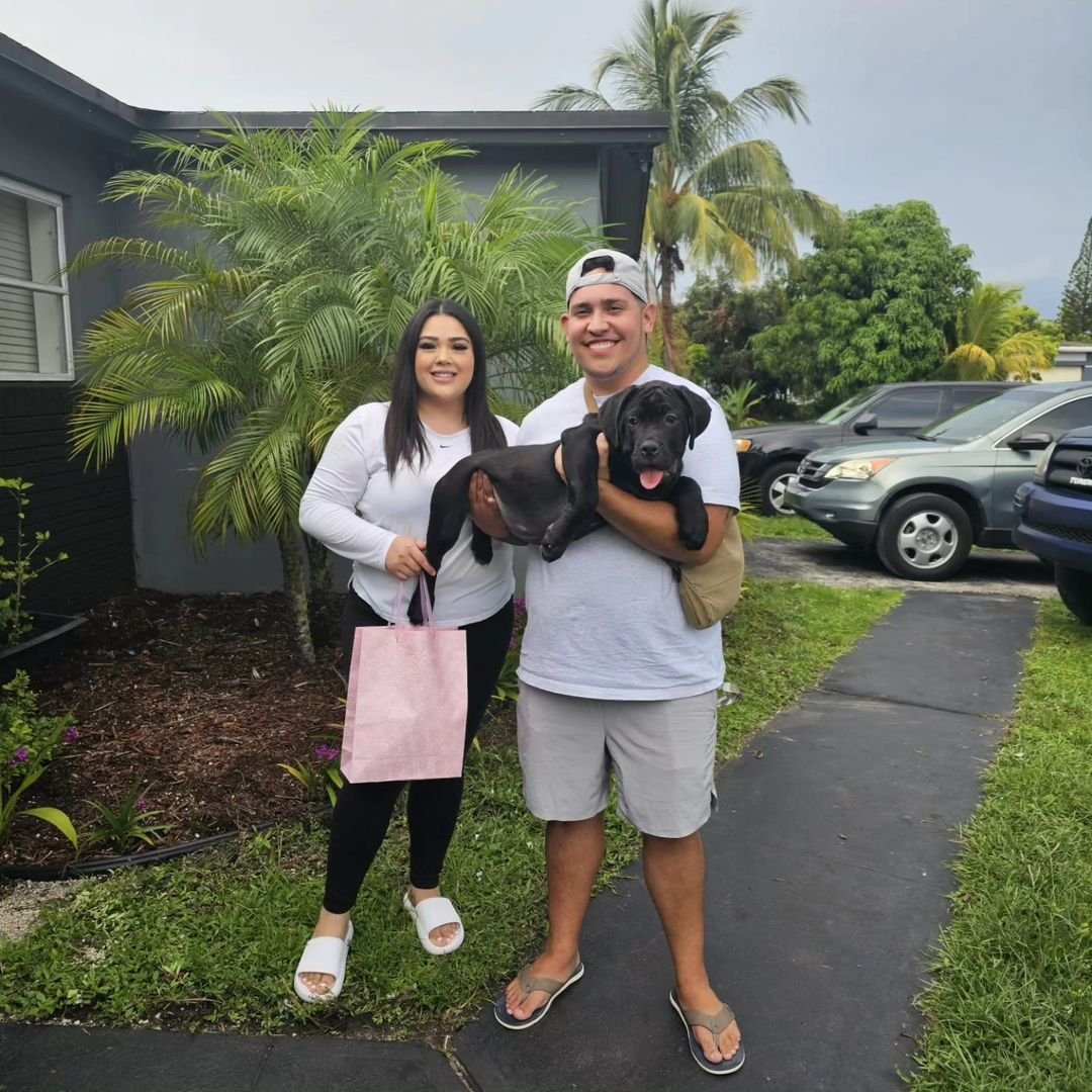 Happy Cane Corso family